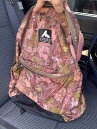 日本入男女啱用 Gregory backpack about 24L  返工背包返工背囊返學背包返學背囊旅行背囊旅行背包 office backpack travel backpack 登山毅行者越野