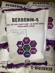Đặc tri tiêu chảy nặng BERBERIN - S Phân vàng xi măng ỉa chảy tóe nước vọt cần câu tụ huyết trùng...