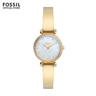 Fossil Women's Tillie Mini Gold Stainless Steel Watch BQ3895