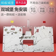 Ready Stock Ant Workshop Ant House Ant Eco Box Pet Ant Ant Castle Nest Ant Nest Room Ant Sand Nest P