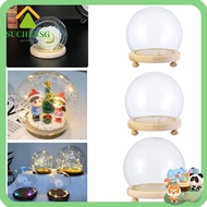 SUCHENSG Glass cloche Home Decor Plants Spherical Glass Vase Terrarium Transparent Bottle Flower Storage box
