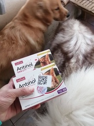 Antinol Dog อาหารเสริมบำรุงข้อสำหรับสุนัข บรรจุ 60 caps / 1 กล่อง