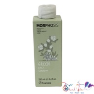 [ NA ] Green daily shampoo Framesi 250ml
