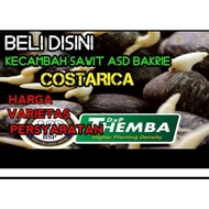 Terlaris Bibit kecambah polong kelapa sawit ASD DxP COSTARICA THEMBA Benih Unggul TERBAIK