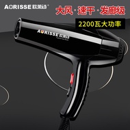 Oulaisi hair dryer for hair salons with strong airflow2200W High-power professional blue light hair 