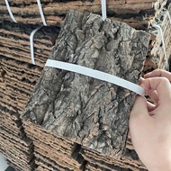 Champagne Wood Bark Spider Palace Guard Lizard Escape Feeding Box Landscaping Bark Background Fire R