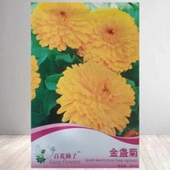 金盞菊種子 種籽長青花種子 種籽長生菊花籽四季播種開花庭院大金盞花種籽子