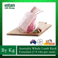 Aus Whole Lamb Rack - Frenched cut (7-9 Ribs per rack)
