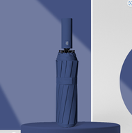 Ô Dù Gấp Mở Tự Động- Dù Che Mưa Gấp Gọn Mini Che Mưa 12 Nan Nhỏ Gọn Tiện Lợi