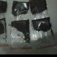 benih tembakau jumbo 10.000 biji