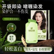爆款热卖！h5染发膏黑色2026年天然植物流行色发在家染发剂黑茶便携盖白 Hot-selling item h5 black hair dye 2026 natural plant-based tre