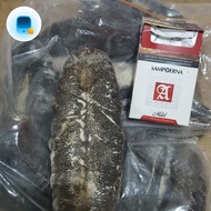 teripang kering 1 kg