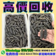 全港回收閒置物品有固定專業免費評估，精準報價全港均可上門交收服務！免費提供上屋清倉庫，執屋，清舊物！ 業務範圍：日本關東參，日本關西參，日本青參，俄羅斯紅參，大連遼參，福建遼參，南美參，北極參，加拿大