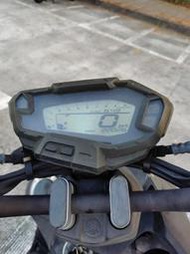 BWSR 黑 2019掛牌