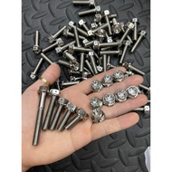 (Probolt GR5) White Cast Titanium Screws M6 (T8), M8 (T12), M10 (T12) Probolt Titanium head Titanium