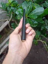 termurah once pirok kelor hitam polos panjang 14cm lubang multifungsi (mild filter kretek) barang or