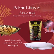 pakan ikan predator Arwana anak Silver brazil super red burayak ikan