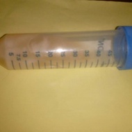 Lactobacillus casei
