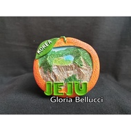 Souvenir By jeju island South korea Fridge Magnets