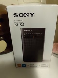 Sony dse 收音機