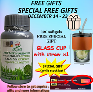 New Life Wheatgrass & Alfalfa Extract + Q10 120softgel（Halal） 浓缩小麦草与苜宿芽 +Q10 120粒