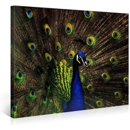 Large Canvas Print Wall Art  Colorful Peacock Animal Canvas Picture Stretched On A Wooden Frame  Gic