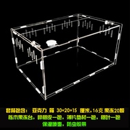 Japanese Rhinoceros Beetle Larva Adult Artificial Pupa Chamber Flower Mud Puffed Eclosion Supplies B