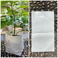 🔥🔥BIG SALES🔥🔥Heavy Duty 16" x 16" Polybag White Putih UV Polibag Nursery Polibeg Polybeg Fertigasi