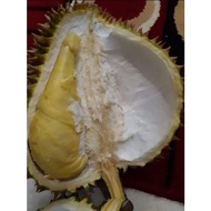 Durian Utuh Montong Palu Parigi 4kg