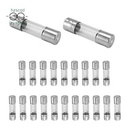 20 x 250 V 2A F2AL Quick F link Glass tube fuse 5 mm x 20 mm