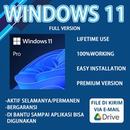 Windows 11 Home Pro Education Enterprise