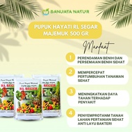 Terbaruuu!!! Pgpr Pupuk Hayati Rl Seger Hidroponik & Layu Tanaman 500