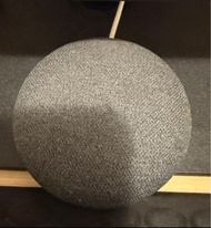 Google nest mini speaker smart home