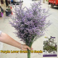 เมล็ดพันธุ์ หญ้าของคนรัก หญ้าคนรัก ดอกไม้หอม Purple Lover Grass Seed Sea Lavender Flower Seeds บรรจุ 10 เมล็ด บอนสี เมล็ดดอกไม้ บอนสีราคาถูก เมล็ดบอนสี ต้นไม้มงคล เมล็ดพันธุ์ดอกไม้ ไม้ประดับมงคล พันธุ์ดอกไม้ ดอกไม้ปลูก แต่งบ้านและสวน ปลูกง่าย อัตรางอกสูง