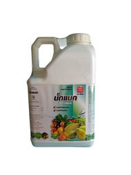 แมกนีเซียม คีเลต ( บั๊คแมก ) แกลลอน 5 ลิตร Mg EDTA ช่วยทำให้ใบพืชมีสีเขียวเข้มสมบูรณ์ แมกนีเซียม คี