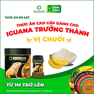 Thức ăn bò sát Iguana Trưởng Thành GREENABC vị chuối dùng cho Iguana từ 1m trở lên giúp gai bung, gù
