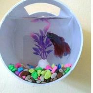 2 pcs Aquarium Dinding, Aquarium Tempel, Aquarium Mini Dinding,