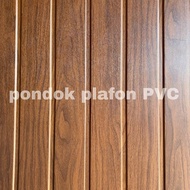 Option- Ceiling Pl 3077-1
