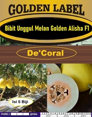 Bibit Unggul Melon Golden Alisha F1| Benih Melon Golden ALISHA F1