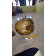 sarang burung baji sabut. sarang burung sabut sarang burung gantung