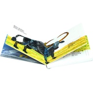 English Original Panda Bear, Panda Bear, What Do You See?Big Book Flip Looking for Book Cardboard Bo