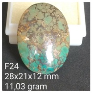 Persian Turquoise F24 Pyrus Turquoise Agatenatural