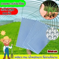 ถาดเพาะกล้านาโยน (แบบหนา) 434 หลุม 100 ชิ้น ถาดกล้านาโยน ถาดเพาะกล้านาโยน ใช้เพาะเมล็ดข้าว