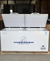 商用冰櫃#冷凍櫃#急凍冷凍冷藏冰箱freezing