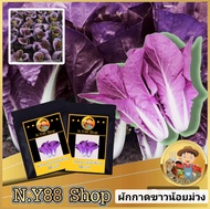 5แถม1ผักกาดขาวน้อยม่วง 100-500เมล็ด เมล็ดพันธุ์ผักกาดขาวสีม่วง เมล็ดผักกาดขาวน้อย เมล็ดผักกาดขาวปลี 