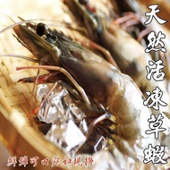 【海之醇】天然活凍草蝦-40隻(300g/盒)