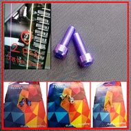 Probolt Bolts and Titanium Intake Dtracker D tracker Klx 150 Original Thailand Vietnam Set of 2