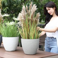 Northern Plastic Flower Pot European Deep Tall Pot Extra Large Simple Money Tree Thickened Resin Flo