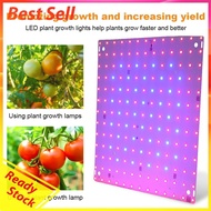 12W Full Spectrum Grow Light Square Full Spectrum Plant Light Full Spectrum Plant Lamp for Indoor Ga