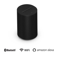 Sonos Era 100
